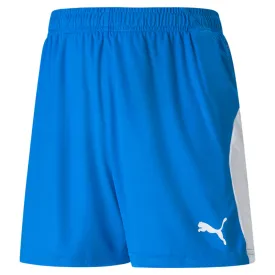 Liga Soccer Shorts (Youth)